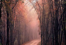 南宫-包含窗口期体能课后，阿森纳防线松动备战欧联，底气十足，球探报告显示潜力的词条